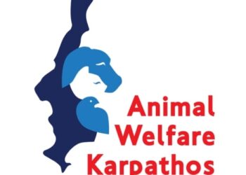 Φιλoζωική Δράση Καρπάθου