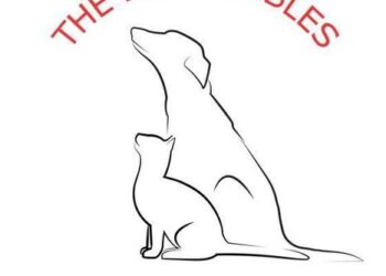 The Invaluables Animal Rescue