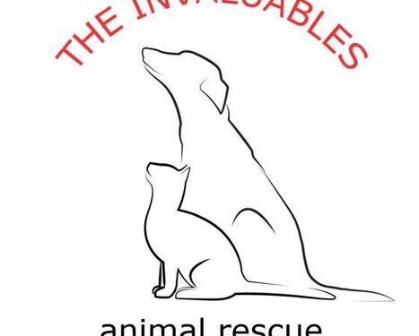 The Invaluables Animal Rescue