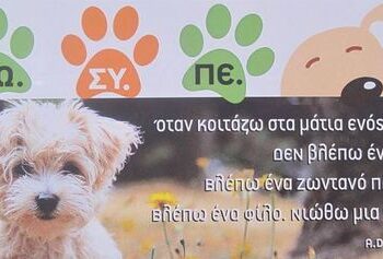 Ζωοφιλικός σύλλογος Περάματος