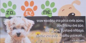 Ζωοφιλικός σύλλογος Περάματος