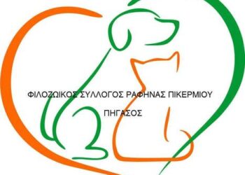 Πήγασος