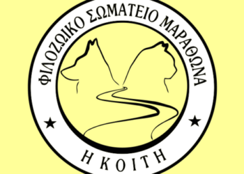 Η Κοίτη