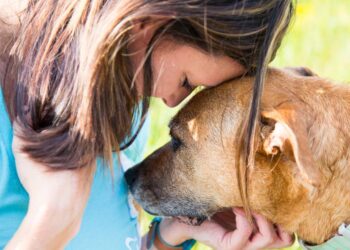 Υγεία: Οι σκύλοι μπορούν να «μυρίσουν» τον καρκίνο.