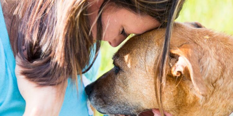 Υγεία: Οι σκύλοι μπορούν να «μυρίσουν» τον καρκίνο.