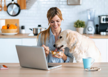 Μπορούν τα σκυλιά να φάνε γιαούρτι;