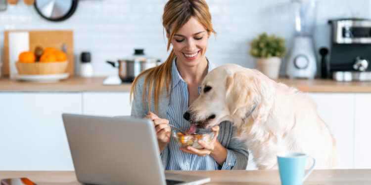 Μπορούν τα σκυλιά να φάνε γιαούρτι;