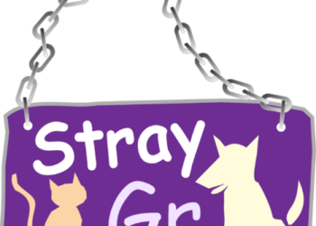 stray