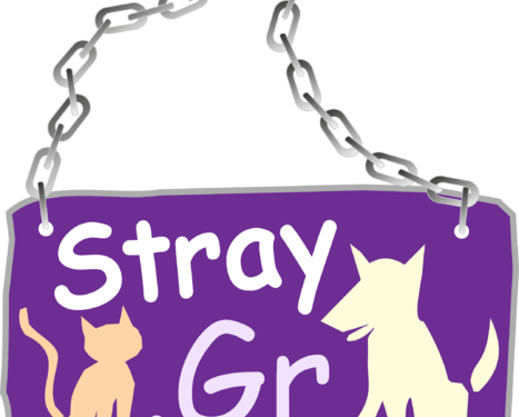 stray