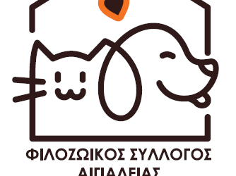 Τα Φιλαράκια