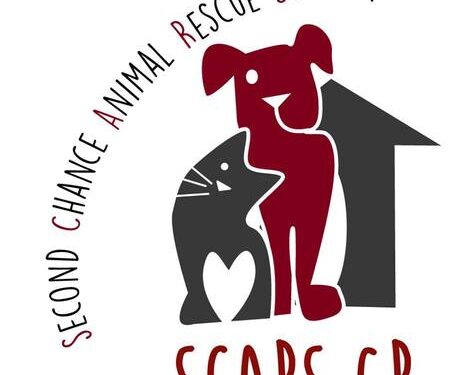 Second Chance Animal Rescue Society Greece