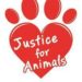justice for animals