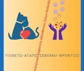 Προστασία Δύστυχων Αδέσποτων Ζώων