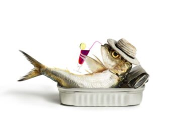 62 Αστεία και Έξυπνα ονόματα ψαριών