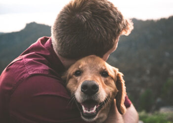 Συμβουλές: 5 λόγοι που «χρειαζόμαστε» σκύλο.