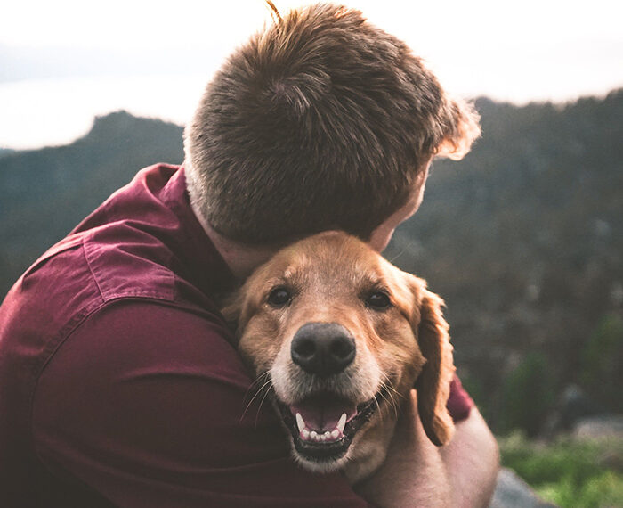 Συμβουλές: 5 λόγοι που «χρειαζόμαστε» σκύλο.