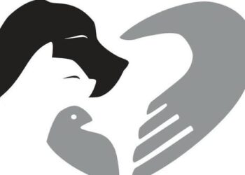 Φιλοζωικό Πολιτιστικό & Περιβαλλοντικό Σωματείο Πολυγύρου
