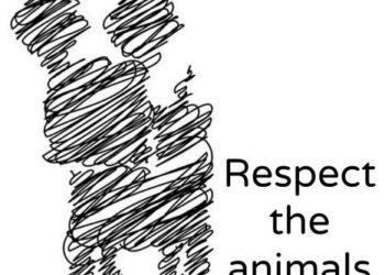 Φιλοζωικός Σύλλογος Έδεσσας "Respect the animals"