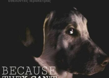 Animals Voice - Eθελοντές Ιεράπετρας