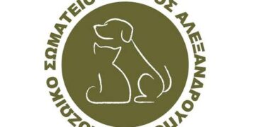 Χώρος φιλοζωικής φροντίδας με κουβέρτες, μπολ, crates και ζεστό φυσικό φως