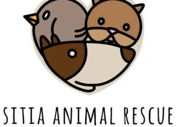 Sitia Animal Rescue
