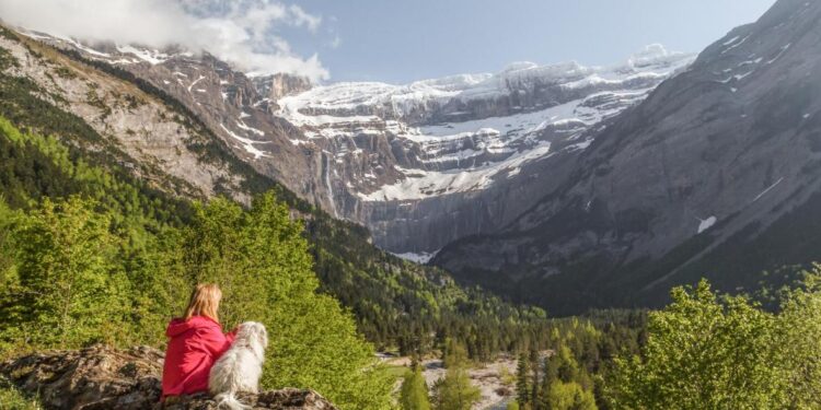 7 προορισμοί για διακοπές με κατοικίδια