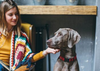 Eίσοδος κατοικιδίων ζώων σε εμπορικά καταστήματα και καταστήματα υγειονομικού ενδιαφέροντος