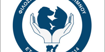 Χώρος φιλοζωικής φροντίδας με κουβέρτες, μπολ, crates και ζεστό φυσικό φως