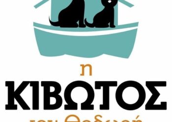 Η Κιβωτός του Θοδωρή