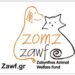 Καθαρή editorial εικόνα pet lifestyle με φυσικό φως, αρνητικό χώρο και συμβολικά στοιχεία φροντίδας