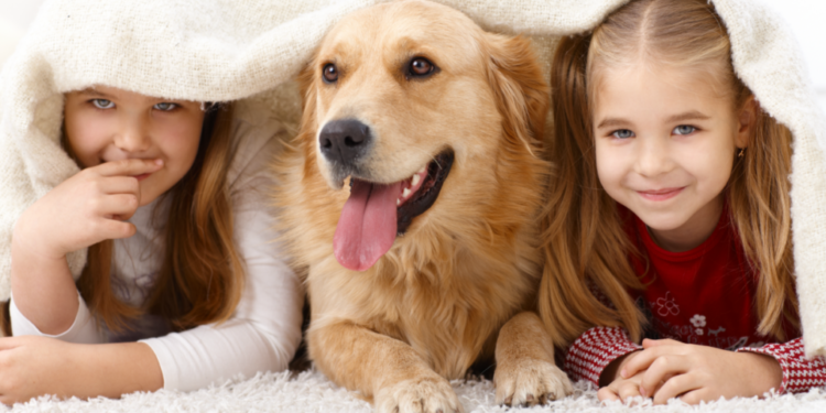 Νομικό Πλάισιο: Πόσα κατοικίδια θα μπορώ να έχω στο σπίτι μου