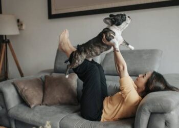 Νόμος για τα κατοικίδια ζώα: Ποιες οι υποχρεώσεις των ιδιοκτητών και ποια τα πρόστιμα