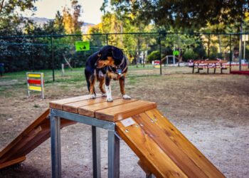 Πάρκα σκύλων στον Κορυδαλλό