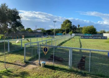 Dog Fun Park Kalamata