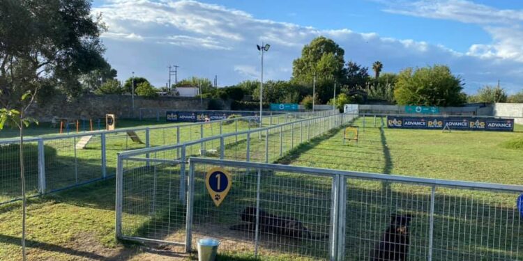 Dog Fun Park Kalamata