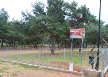 Πάρκο σκύλων στον Δήμο Καισαριανής