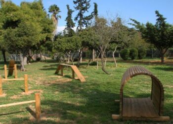 Πάρκο κοινωνικοποίησης & άσκησης σκύλων στο Γαλάτσι