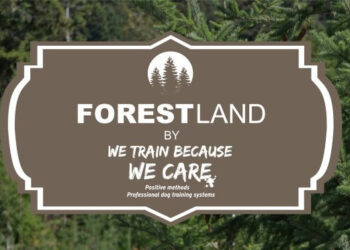 FORESTLAND το 1ο Πρότυπο πάρκο σκύλων στην Αττική