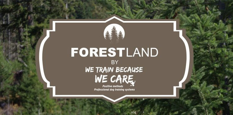 FORESTLAND το 1ο Πρότυπο πάρκο σκύλων στην Αττική