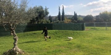 Pallini Kennels Dog Park