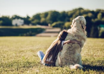 Νέα για Κατοικίδια, Zooky,