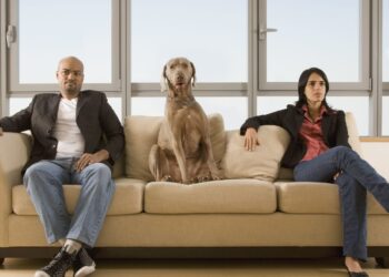 Ισπανία: Η επιμέλεια των κατοικιδίων θα παίζει ρόλο στο διαζύγιο