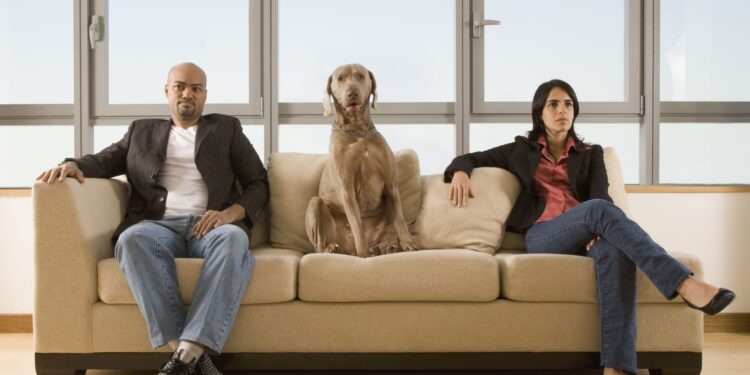 Ισπανία: Η επιμέλεια των κατοικιδίων θα παίζει ρόλο στο διαζύγιο