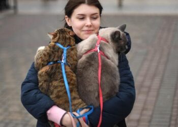 Οι άνθρωποι φεύγουν από την Ουκρανία με τα κατοικίδιά τους