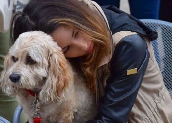 Τα σκυλιά θρηνούν σύμφωνα με μελέτη όταν πεθαίνει ένας φίλος