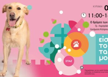 Ημέρα υιοθεσίας σκύλου στη Γλυφάδα από τον ΣΠΑΖ