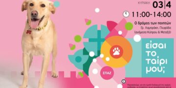 Ημέρα υιοθεσίας σκύλου στη Γλυφάδα από τον ΣΠΑΖ
