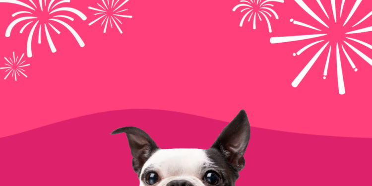 7 τρόποι για να βοηθήσετε τον σκύλο σας να ξεπεράσει τον φόβο των πυροτεχνημάτων.