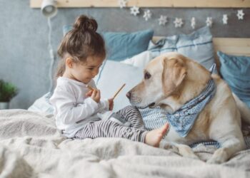 Σε ποια ηλικία γίνονται τα σκυλιά προστατευτικά;