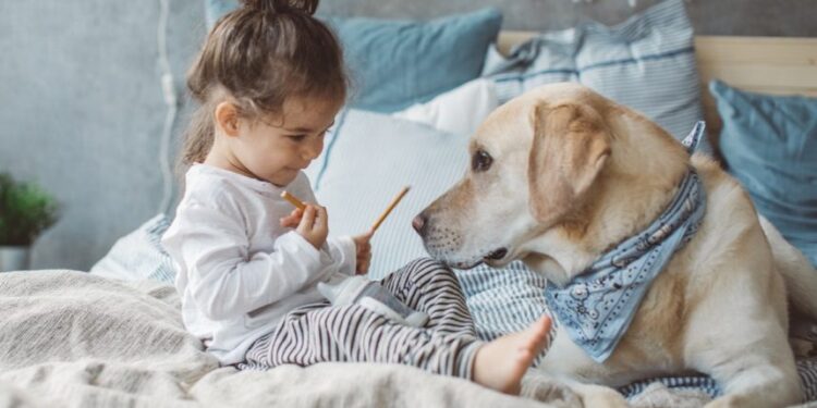 Σε ποια ηλικία γίνονται τα σκυλιά προστατευτικά;